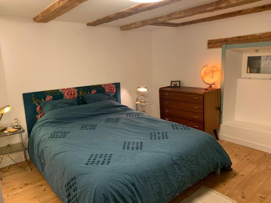 Au Coeur De La Veille Ville D'Annecy Ngoại thất bức ảnh
