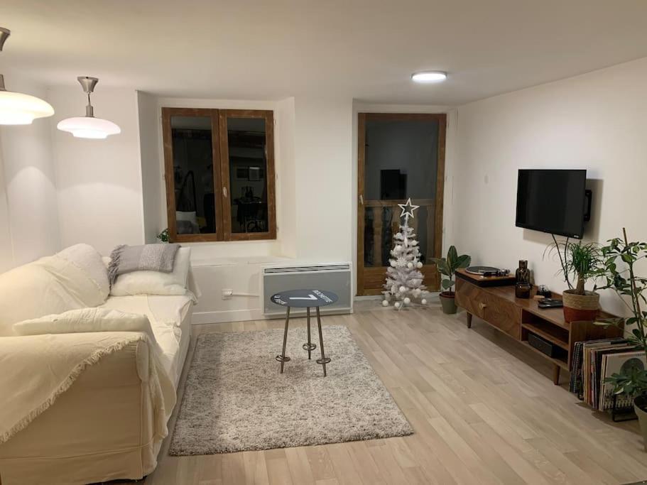 Au Coeur De La Veille Ville D'Annecy Ngoại thất bức ảnh