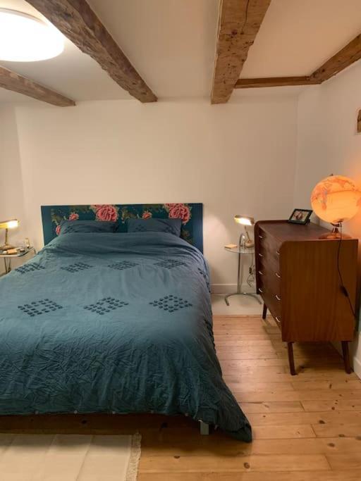 Au Coeur De La Veille Ville D'Annecy Ngoại thất bức ảnh